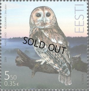 画像1: エストニア切手 　2009年　鳥　モリフクロウ　1種