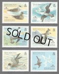 英領インド洋地域切手　2007年　鳥　バードライフインターナショナル　トウゾクカモメ　6種