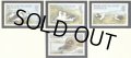 フォークランド諸島切手　1985年　鳥　マユグロアホウドリ　4種