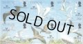 英領インド洋地域切手　2006年　鳥　バートン・ポイント自然保護区域　クロアジサシ　6種