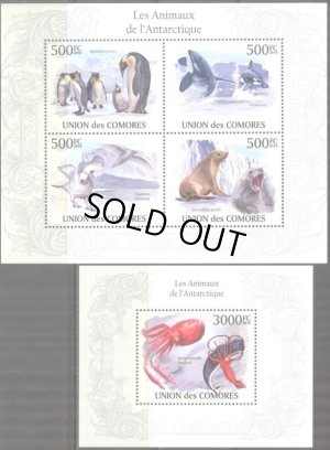 画像1: コモロ諸島切手　2009年　極地の動物　コウテイペンギン　小型シート