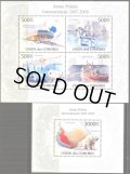 コモロ諸島切手　2009年　国際極年　ホッキョクグマ　小型シート