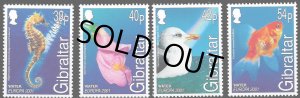 画像1: ジブラルタル切手 2001年 C.E.P.T.   水  自然の宝物 鳥　キアシセグロカモメ　4種