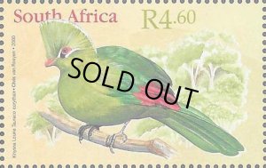 画像1: 南アフリカ切手　2000年　切手展　鳥　エボシドリ　1種