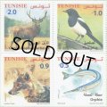 チュニジア切手　2018年　鳥　カササギ　4種