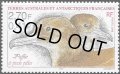 フランス領南極地域切手　2000年　鳥　アカアシミズナギドリ　1種