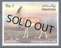 パキスタン切手　1983年　動物　チンカラ　1種