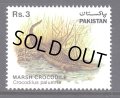 パキスタン切手　1983年　ヌマワニ　1種