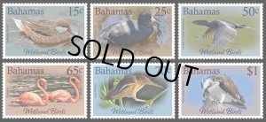 画像1: バハマ切手　2022年　バハマの湿地 鳥 ミサゴ 6種