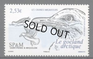 画像1: サンピエール島・ミクロン島切手　2006年　鳥　アイスランドカモメ　1種