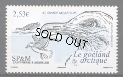画像1: サンピエール島・ミクロン島切手　2006年　鳥　アイスランドカモメ　1種