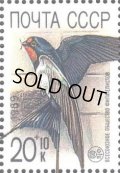 ロシア　旧ソ連切手　1989年   鳥　ツバメ　自然保護　1種　