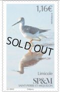 サンピエール島・ミクロン島切手　2020年　鳥　オオキアシシギ　1種
