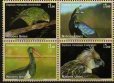 画像1: 国連切手　2011年　絶滅危惧種　鳥　ニジキジ　4種 (1)