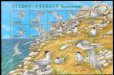 画像2: 台湾切手　2002年　鳥　ヒガシシナアジサシ　10種 (2)