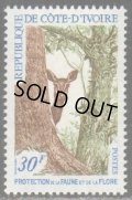 コートジボワール切手　1968年　かもしか　動植物の保護　1種