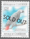 カメルーン切手　1995年　ヨウム　鳥　1種