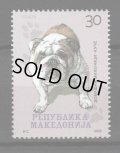 マケドニア切手    2008年　犬　パグ　1種