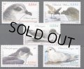 フランス領南極地域切手　2009年　鳥　カオジロミズナギドリ　5種