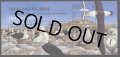 フォークランド諸島切手　2003年　バードライフ　鳥　マユグロアホウドリ　5種