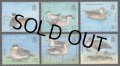フォークランド諸島切手　1999年　鳥　ワキアカヒドリ　6種