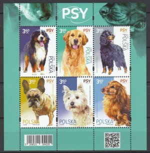 画像1: ポーランド切手　2022年　犬　ダックスフンド　6種