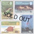  英領バージン諸島切手　1979年　動物　保全　カメ　アネガナ島イグアナ　4種