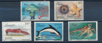 画像1: セネガル切手　1987年　海洋生物　マダコ　5種