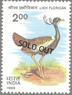画像1: インド切手　1989年　鳥　インドショウノガン　1種