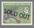 ボリビア切手　2005年　動物　メガネグマ　1種