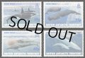 イギリス領南極地域切手　1996年　シロナガスクジラ　4種
