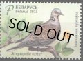 ベラルーシ切手　2023年　鳥　コキジバト　1種