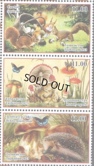 画像1: タジキスタン切手　2023年　動物　ハリネズミ　リス　カエル　3種