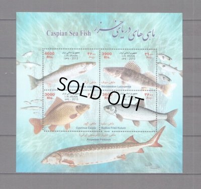 画像1: イラン切手　2013年　カスピ海の魚　4種