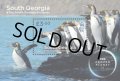 サウスジョージア・サウスサンドイッチ諸島切手　2023年　フローズンプラネット　ペンギン　1種