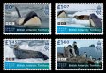 イギリス領南極地方　2023年　フローズンプラネットII　ペンギン　シャチ　4種