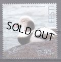 エストニア切手　2023年　鳥　コオリガモ　1種