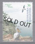 マケドニア切手    2004年　プレスパ湖国立公園　鳥　ニシハイイロペリカン　1種