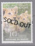 モロッコ切手　2022年　ラバト動物園10周年　ライオンの子　1種