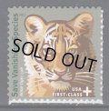 アメリカ切手 　2011年　アムールトラ　消滅種を保存　　1種