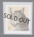 アメリカ切手 　2012年　ボブキャット　動物　1種