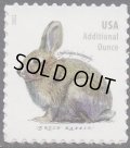 アメリカ切手 　2021年　ウサギ　1種