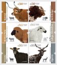 画像1: ポルトガル切手　2018年　ポルトガルの自生品種　家畜　羊　6種 (1)