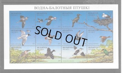 画像1: ベラルーシ切手　1996年　ベラルーシ動物相　鳥　コガモ　12種