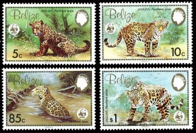 画像1: ベリーズ切手　1983年　WWF　ジャガー　動物　4種