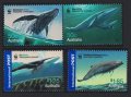 オーストラリア切手　2006年　クジラ　4種