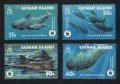 ケイマン諸島切手　2003年　海洋生物　コビレゴンドウ　クジラ　4種