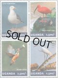 ウガンダ切手　2014年　鳥　セグロカモメ　4種