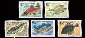 画像1: ロシア　旧ソ連切手　1983年 　魚　ベニザケ5種