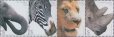 画像1: ポルトガル切手　2001年　動物　グレビーシマウマ　4種 (1)